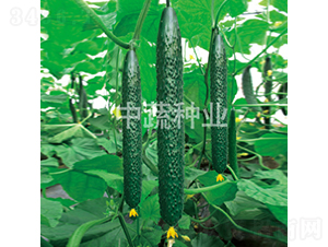 ���r(n��ng)56-�S�ϷN��-���߷N�I(y��)