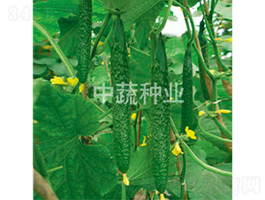 ���r(n��ng)26̖(h��o)-�S�ϷN��-���߷N�I(y��)