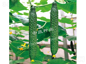 ���r(n��ng)31-�S�ϷN��-���߷N�I(y��)