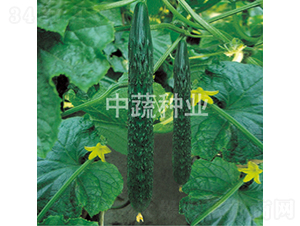 ���r(n��ng)118̖(h��o)-�S�ϷN��-���߷N�I(y��)