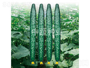 ���r(n��ng)48-�S�ϷN��-���߷N�I(y��)