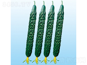 ���r(n��ng)62̖(h��o)-�S�ϷN��-���߷N�I(y��)