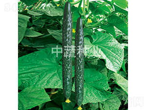 ���x���r(n��ng)8̖(h��o)-�S�ϷN��-���߷N�I(y��)