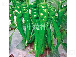 �н�����109-�����N��-���߷N�I(y��)