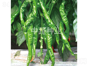 �н�1209-�����N��-���߷N�I(y��)