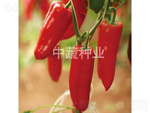 �н�206-�����N��-���߷N�I(y��)