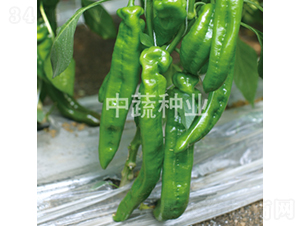 �н�0813-�����N��-���߷N�I(y��)