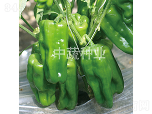 �н���Ƥ��1̖-�����N��-���߷N�I(y��)