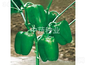 �н�7̖-�𽷷N��-���߷N�I(y��)