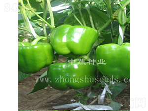 �н�104-�𽷷N��-���߷N�I(y��)