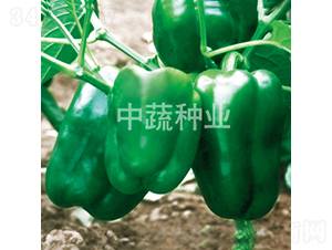 �н�8-�𽷷N��-���߷N�I(y��)