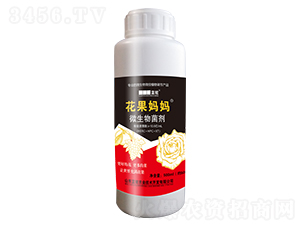 ΢�������-��������-�{(l��n)�