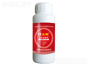 ΢�������-�t��-�{(l��n)�