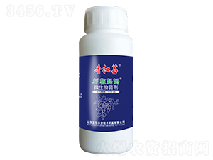 ΢�������-������������tݮ-�{(l��n)�