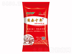 �~���״ٻ����������-�S��ʮ��