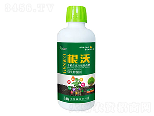 ���֣�ˮ���紲��������ʣ�-�����S-���Π�