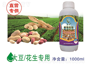 �󶹻��������~���-ֲ���ķ-��Ȼ