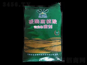 ̼ø��ֳ��-�A������