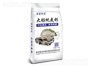 ��Ϡϖˬ�}-�L�{(l��n)��(y��u)��-�����A��