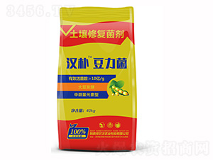 �����������ޏ�(f��)����-�h��