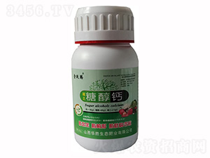 �Ǵ��}-���S�v-�A��