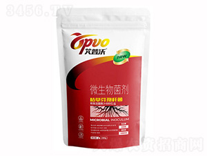 �ݲ�ѿ�ߗU��-�I(y��)�r(n��ng)