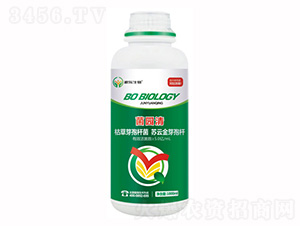 ΢�������-���@��-��������