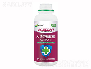 ΢�������-�����������~-����(l��)����