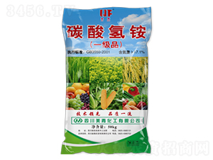 ̼����@-����