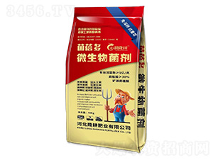 ΢�������-������-¡���ʘI(y��)