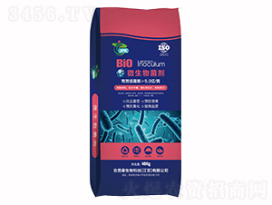 ΢�������-���տ�