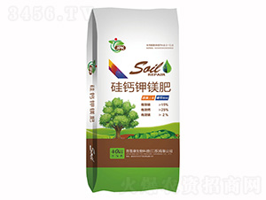 ���}��V��-���տ�