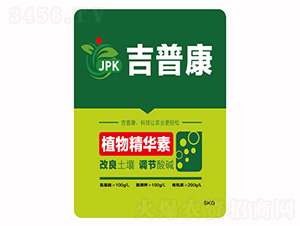 ֲ�ﾫ�A��-���տ�