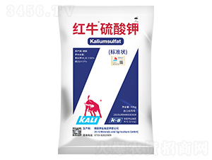 �tţ����⛣���(bi��o)��(zh��n)�-����}�r(n��ng)�I(y��)