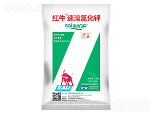 �tţ�����Ȼ��-����}�r(n��ng)�I(y��)