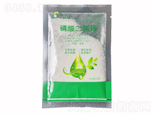 ��������-����ֲ��