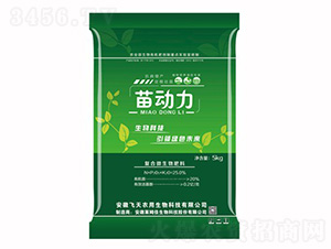 �ͺ�΢�������-�����-�Rķ������