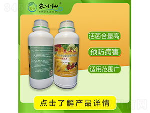 ��(f��)�϶��İ������~���-�r(n��ng)С��-�f��GԴ 