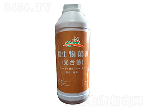 ��Ͼ�΢�������-��������