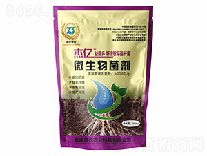 �����ѿ�ߗU��-�܃|�����-�����r(n��ng)�I(y��)