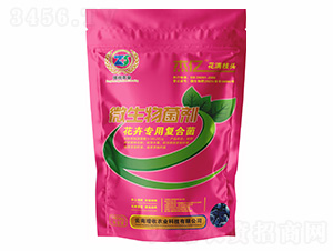 ���܌�(zhu��n)�Ï�(f��)�Ͼ�-�܃|���M֦�^-�����r(n��ng)�I(y��)