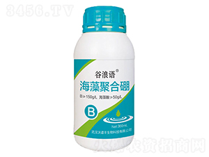 ����ۺ���-�����Z-���V�S����