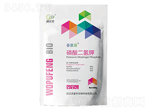 �������⛣��ۄ���-�����Z-���V�S����