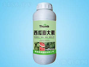 ���������-����r(n��ng)�I(y��)