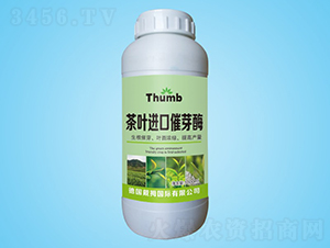 ���~�M�ڴ�ѿø-����r(n��ng)�I(y��)