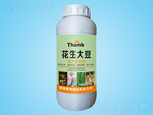 ���������a(ch��n)�����-����r(n��ng)�I(y��)