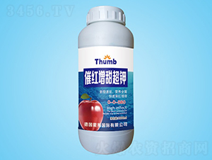 �߼t�����-����r(n��ng)�I(y��)