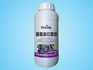 ���Ѵ߼t����-����r(n��ng)�I(y��)