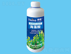 ������-̤��-����r(n��ng)�I(y��)