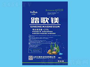 ̤���V-������-����r(n��ng)�I(y��)